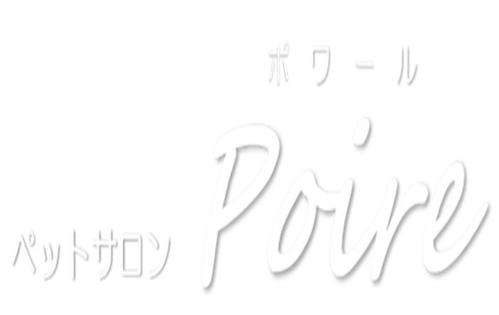 ﾍﾟｯﾄｻﾛﾝ Poire